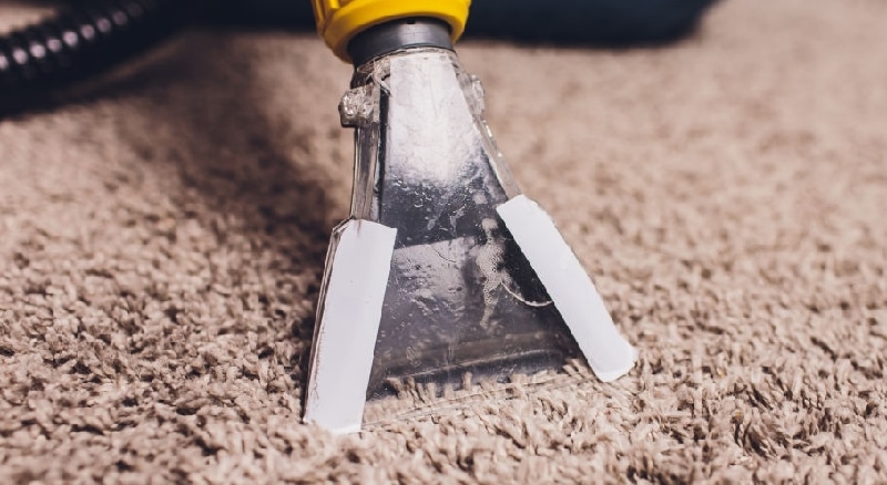 Carpet Cleaning Guide