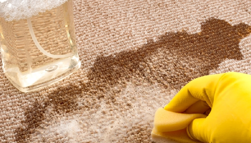 The 15 Best Carpet Stain Removal Tips