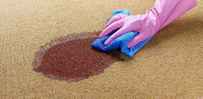 Top 10 DIY Carpet Cleaning Tips