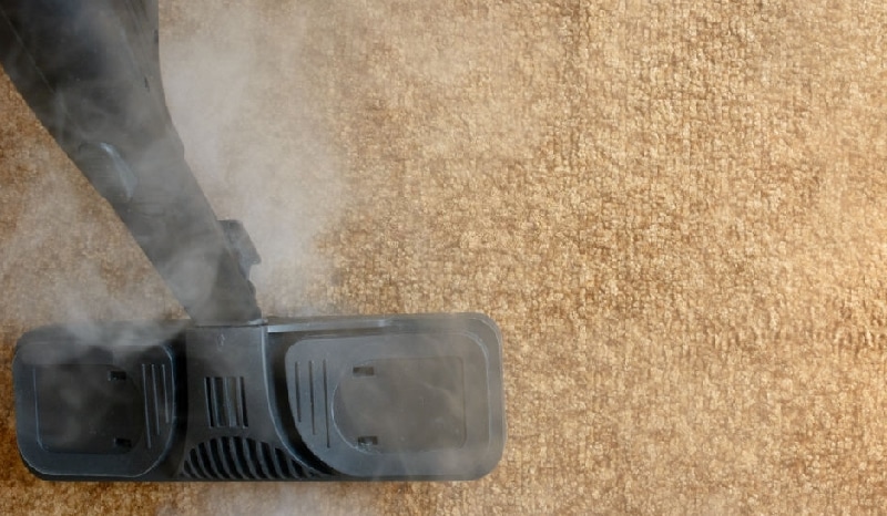 Steam Carpet Cleaning