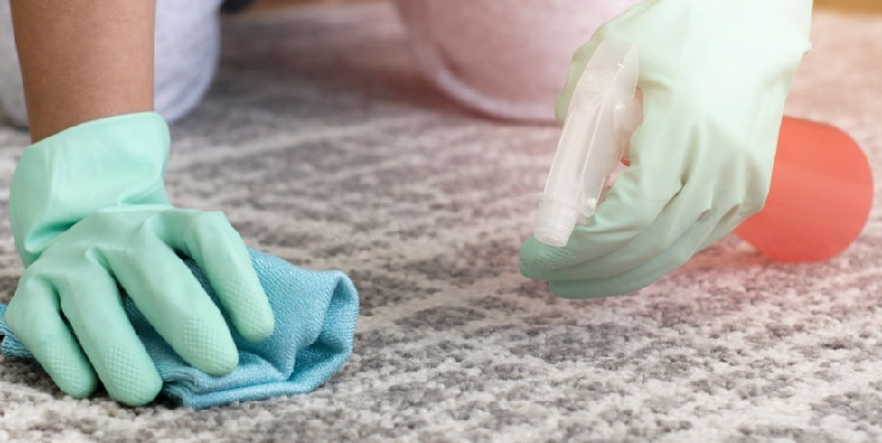 Top DIY Carpet Cleaning Tips