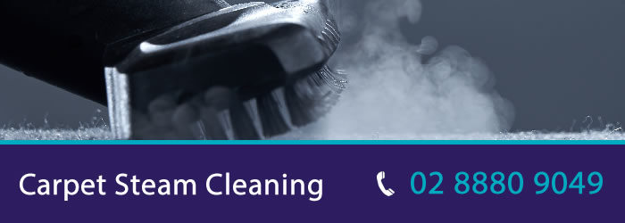 Carpet Steam Cleaning Sydney