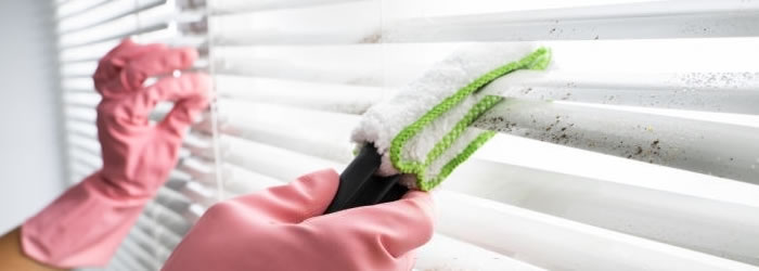 Types of Blinds We Clean