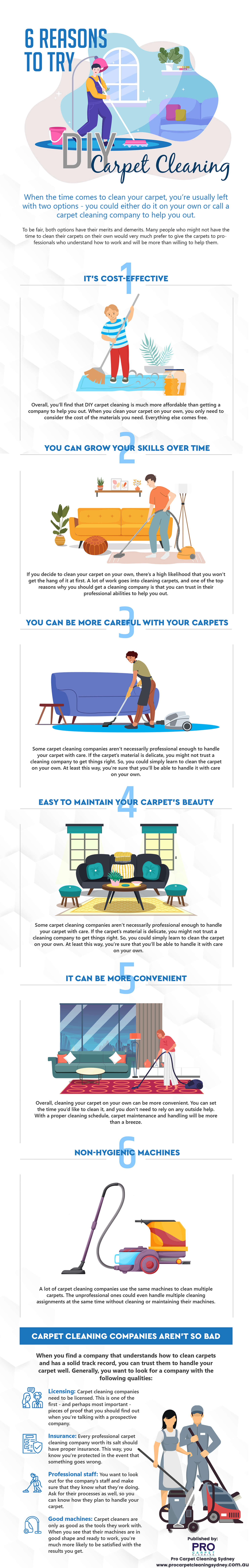 6 Reasons To DIY Carpet Cleaning - Infographic