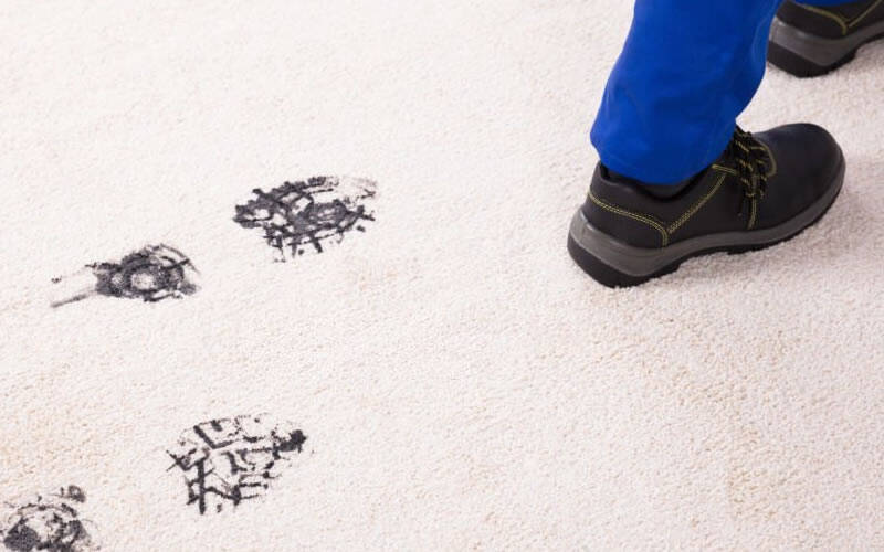 10 Secrets Your Dirty Carpets Are Keeping From You