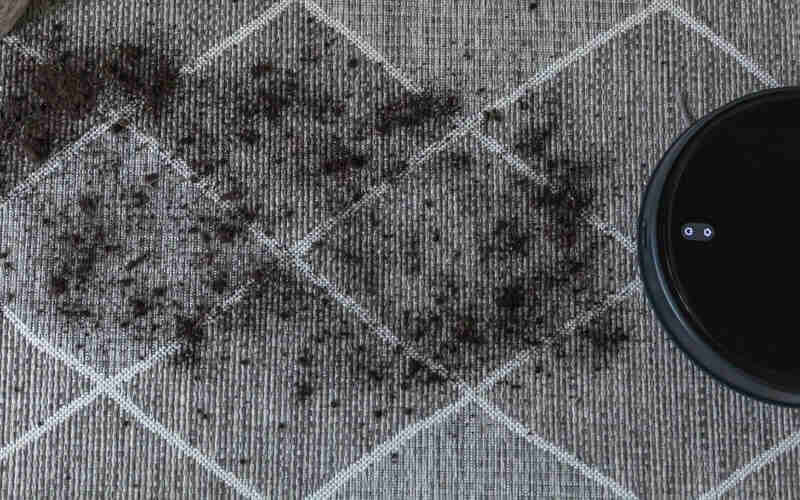 Cleaning Dirty Carpets 